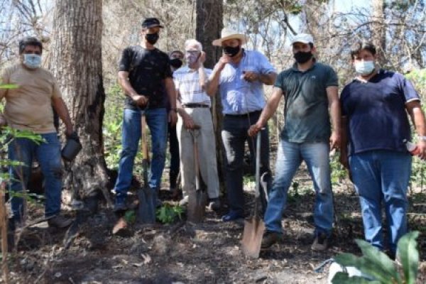 Restauración del bosque nativo misionero
