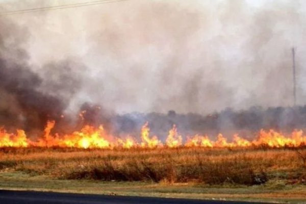 Incendio en los Esteros del Iberá.