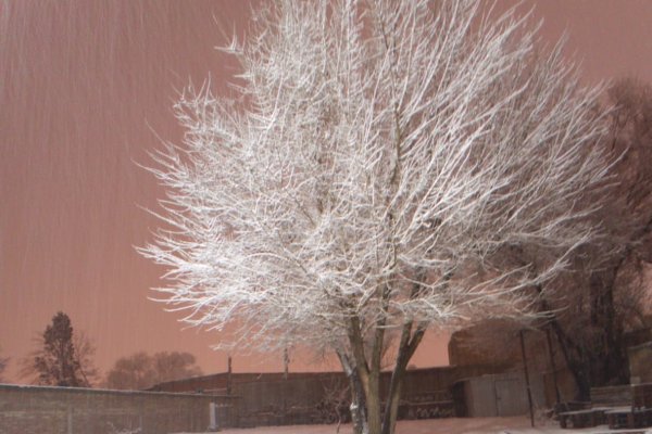 Cutral Co sin superluna pero con nieve.