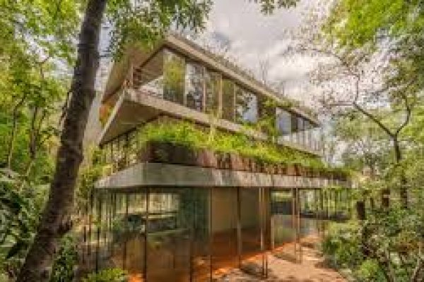 Tips for a more environmentally friendly home – health and well-being