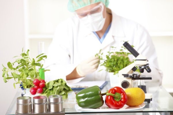 Efectos nocivos de los cultivos y alimentos transgénicos en la salud