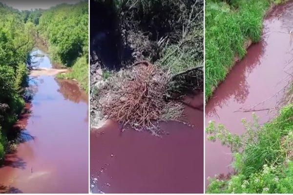 Contaminación en arroyos.