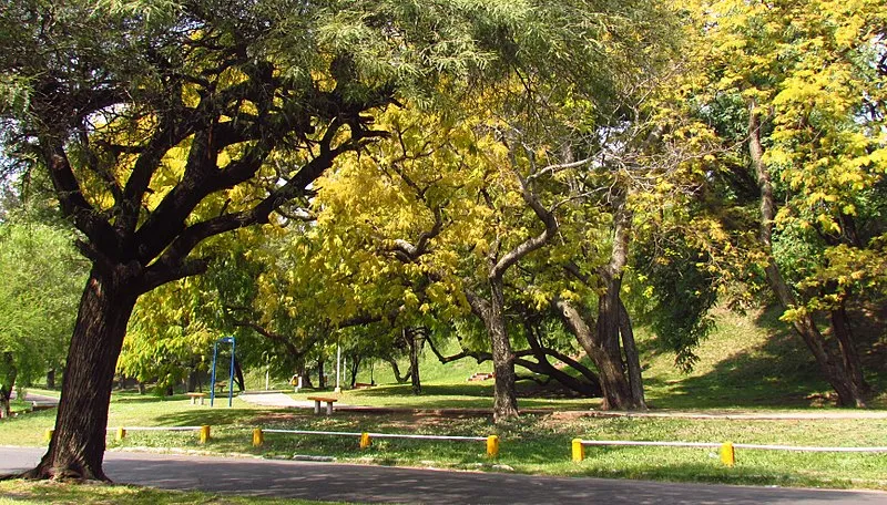 Parque Gazzano