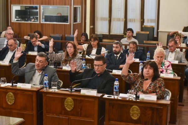 Judicializar la política degrada la democracia que decimos defender