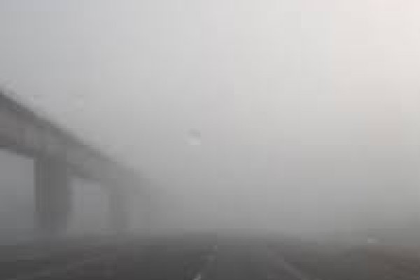 Niebla en el puente Zárate-Brazo Largo: implementaron cortes y tránsito asistido hacia Ibicuy