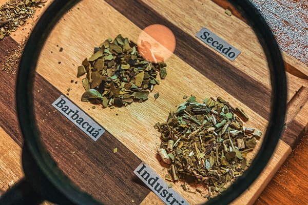 El mate tendrá por primera vez su Mundial  
