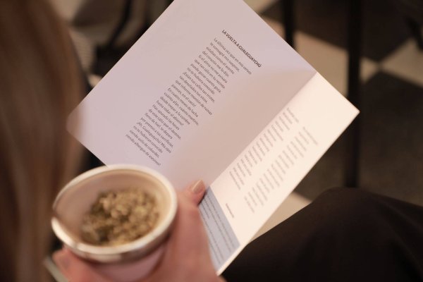 La Biblioteca y la Editorial de la provincia lanzan el ciclo Literaturas Escritas en Entre Ríos