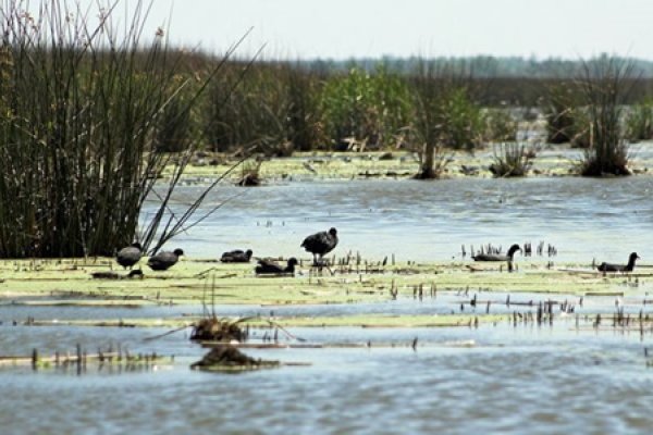 Realizan el mapeo más completo de los ecosistemas de Argentina