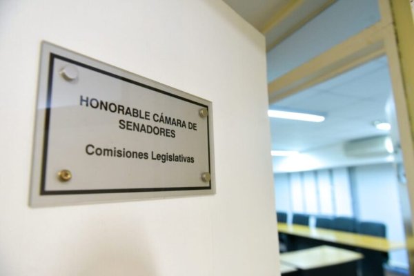 El Senado continuará el debate de la Ley de Ética Pública